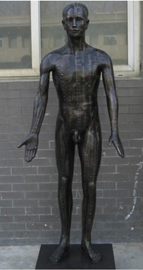 現代十四經(jīng)穴針灸銅人模型(真銅全銅材質(zhì))