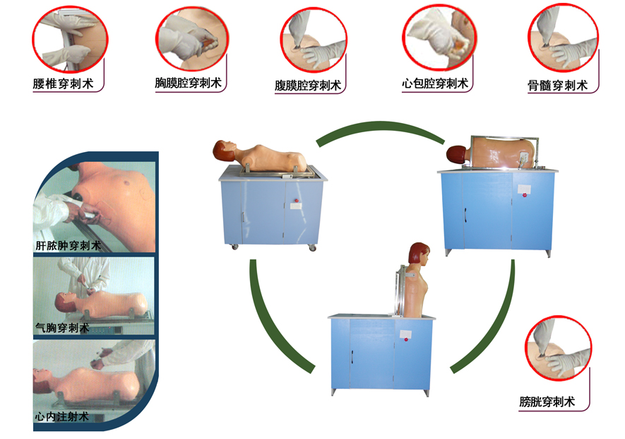全自動(dòng)多種穿刺叩診電腦模擬人