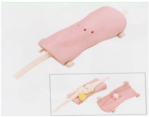 膝關(guān)節鏡檢查模型