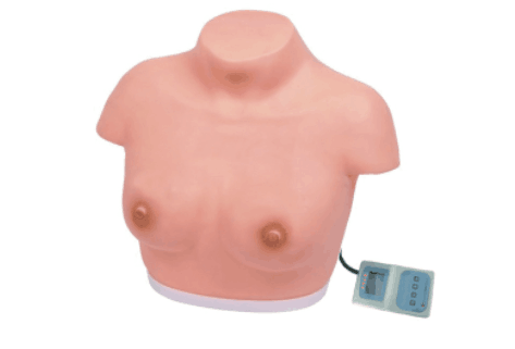 高級乳房視診與觸診模型（電子監測）