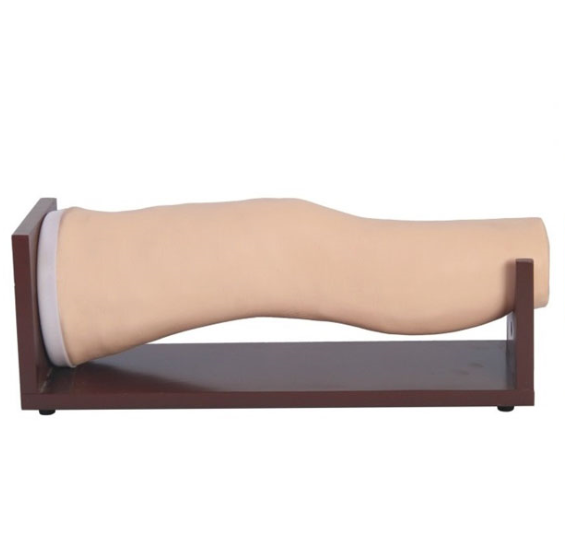 電子膝關(guān)節腔內注射模型