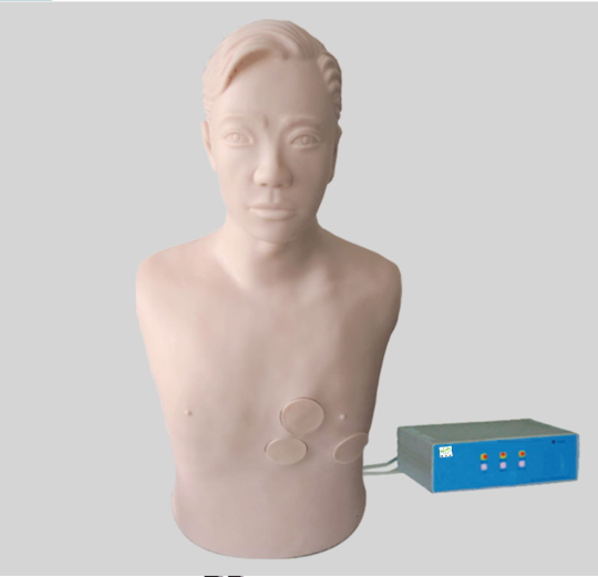  肝膿腫穿刺與胸腔穿刺電子標準化病人電動(dòng)模型