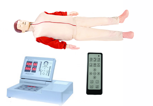 高級全自動(dòng)電腦心肺復蘇模擬人