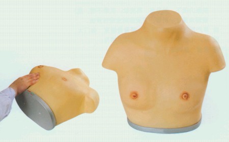 高級乳腺視診與觸診模型