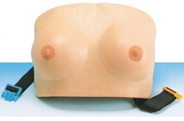 高級乳房檢查模型（穿戴式）