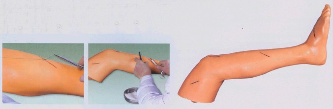 高級外科腿部縫合訓練模型